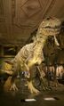 Allosaurus NHM 2013-03-06