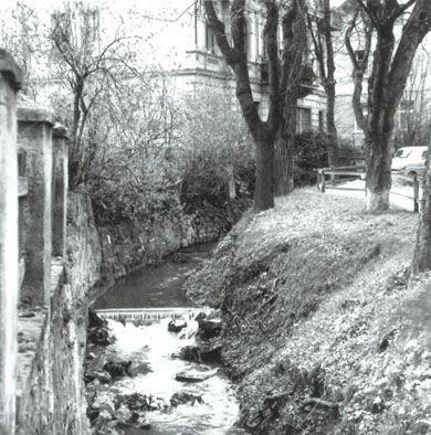 Arbesbach-1960.jpg
