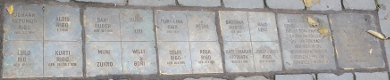 Steine der Erinnerung 1100 Belgradplatz.jpeg