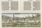 Ansicht Wiens von Norden, Michael Wolgemut (1493)