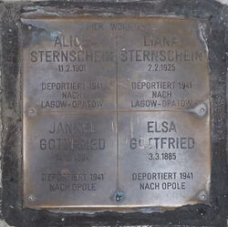 Stein der Erinnerung - Familien Sternschein und Gottfried, 1080 Neudeggergasse 5.jpg