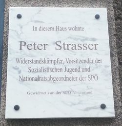 Gedenktafel Wohnhaus Peter Strasser, 1090 Meynertgasse 3.jpg