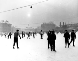 Eislauf 1964.jpg