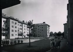 Appel-Hof - Innenhof 2.jpg
