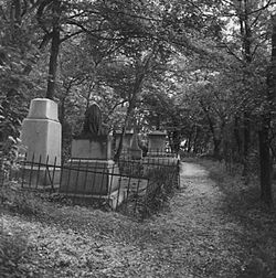 Friedhofkahlenbergerdorf.jpg