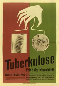 Tuberkulose.jpg