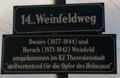 Erläuterungstafel Weinfeldweg, Hersch und Dwoire Weinfeld, 1140