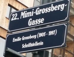 Erläuterungstafel für Emilie Grossberg, Mimi-Grossberg-Gasse, 1220.jpg