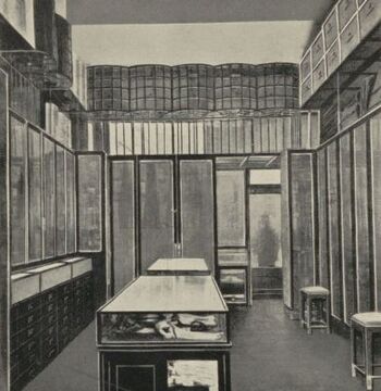 Verkaufsraum im Geschäftslokal Graben 20, um 1900